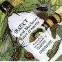 Eugene Chadbourne - Insect Attracter
