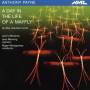 Manning / Montgomery / . . . - Chamber Works