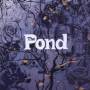 The Pond - The Pond