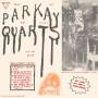 Parquet Courts - Tally All Things That You Broke