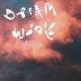Dinner - Dream Work (Ltd.White Vinyl)
