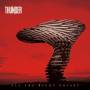 Thunder - All the Right Noises (Deluxe Edition 2CD+DVD) [DE-Version, Regio 2/B]
