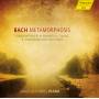 A. Nebel - Bach Metamorphosis *s