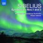 Pietari Inkinen / NZ SO - Sinfonien 1+3