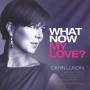 Carin Lundin / + - What now my love?