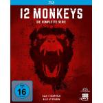 12 Monkeys - 12 Monkeys - Die komplette Serie (Alle 4 Staffeln) [DE-Version, Regio 2/B]