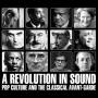 Various - A Revolution In Sound-Pop Culture And The...