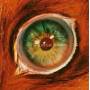 Boom Boom Satellites - Full Of Elevating Pleasures (pal/region 0)