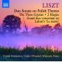 Voytek Proniewicz / Wojciech Waleczek - Musik fr Violine und Klavier