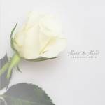Heart In Hand - A Beautiful White (Clear Vinyl)