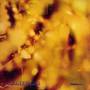 Steamhammer - Steamhammer