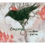 Calexico - Garden Ruin (LTD) [US-Version, Regio 1/A]