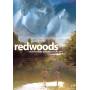 Matthew Montgomery / Brendan Bradley - Redwoods [Regio free (0)]