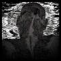 Asher Levitas - Lit Harness