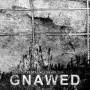 Gnawed - Pestilence Beholden