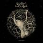 Wound - Engrained (Vinyl)