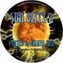 V / a - Sun Blitz 2 - Compiled By Dharma Kaya