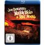 Joe Bonamassa - Muddy Wolf At Red Rocks (Blu-ray) [DE-Version, Regio 2/B]