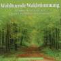 Naturgerusche - Wohltuende Waldstimmung