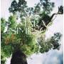 Mara Simpson - In This Place (Recycled Coloured Vinyl)