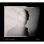 Doyle Bramhall II - Shades
