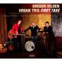 Gregor Organ Trio Hilden - First Take