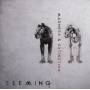 Seeming - Madness & Extinction