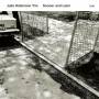 Julia Hlsmann Trio - Sooner and Later