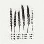 Lo! - THE GLEANERS (Black Vinyl)
