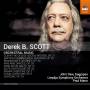John Dew / Paul Mann / Liepaja Symphony Orchestra - Orchestermusik