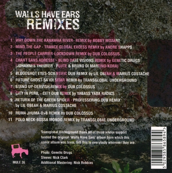Walls Have Ears Remixes 1