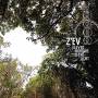 Z'ev - Eleven Mirrors To The Light