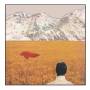 Lady Lamb - After
