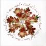 Stone Angel - Circle Of Leaves