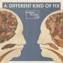 Bombay Bicycle Club - Different Kind Of Fix