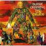 Druids - Burnt Offerings