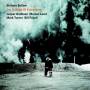 Stefano Bollani Trio / Mark Turner / Bill Frisell - Joy In Spite Of Everything