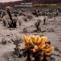 Lisa Bodnar & Whistlegrass - 40 Years in the Desert