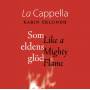 Hagvil / Forssen / Cappella / Eklundh - Like A Mighty Flame