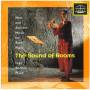V / A - Sound Of Rooms
