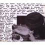 Babyshambles - Albion CD1