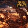 Human Infection - Curvatures In Time