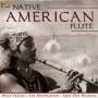 Various - Native American Flute