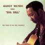 Muddy Waters - Sings Big Bill