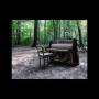 The Eye Of Time - Acoustic 2