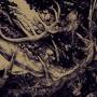 The Third Eye Foundation - The Dark