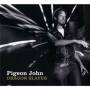 Pigeon John - Dragon Slayer