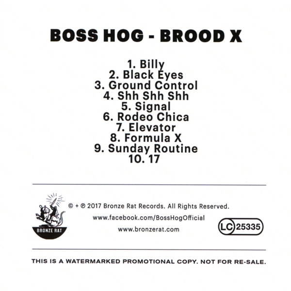 Brood X 1