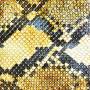 The Amazing Snakeheads - Amphetamine Ballads (lp+mp3)