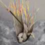 Henrietta - Paper Wings